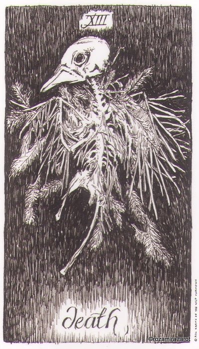 Wild Unknown Tarot